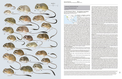 Handbook of the Mammals of the World no 6 -Lagomorphs and Rodents -  Lynx 2016
